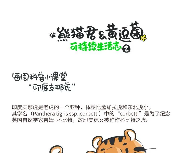 熊猫君和黄逗菌可持续生活志第二季漫画,科普番外——印度支那虎1图