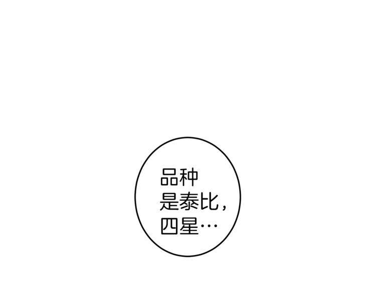 我有一只猫儿歌漫画,第5话 学院4图