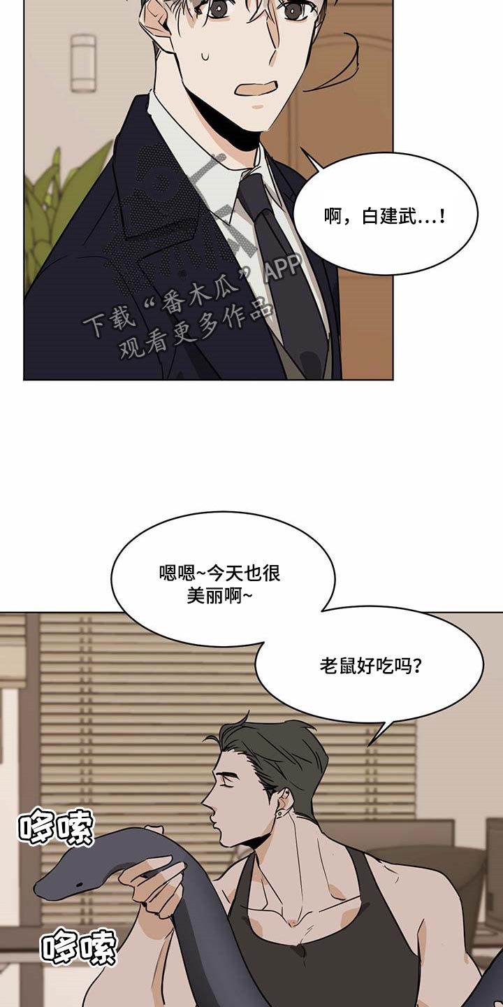 化蛇漫画,第64章：倒霉的家伙4图